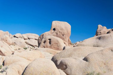 Kafatası kaya izleri ve manzarası güneşli Kaliforniya 'daki Joshua Tree Ulusal Parkı' nda..
