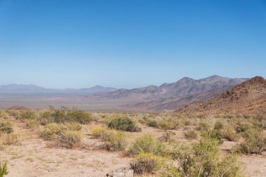 Pinto ve Hexie dağlarının güneşli California 'daki Joshua ağacı ulusal parkındaki manzarası..