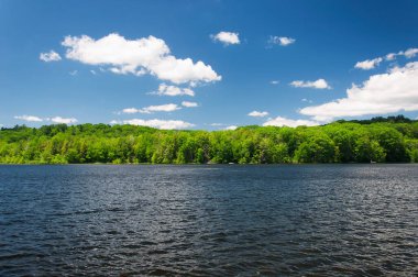 Torrington Connecticut 'taki Burr Pond Eyalet Parkı' nın yaz manzarası. 