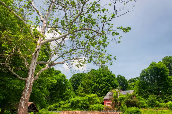 Rural Countryside Village North Caanan Connecticut Sunny Blue Sky Summer — Stockfoto