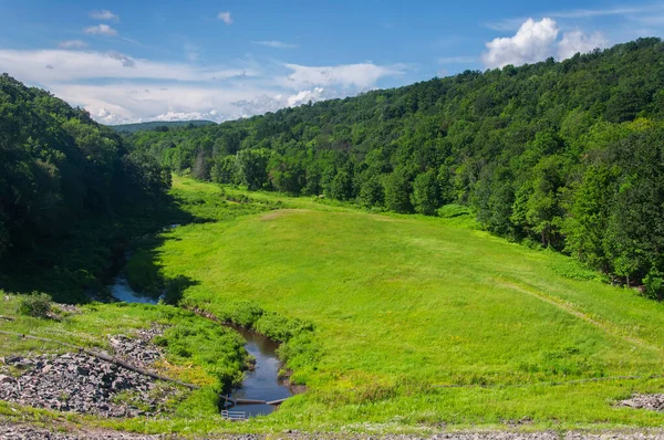 Torrington, Connecticut 'taki Sunnybrook Eyalet Parkı' ndaki Naugatuck Nehri 'nin doğu kolundaki sel bölgesine bakan bir barajın tepesinde..