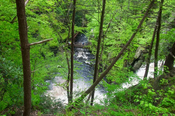 Velký Vodopád Bushkill Spadá Lehman Městečku Pennsylvania Zataženém Letním Dni — Stock fotografie