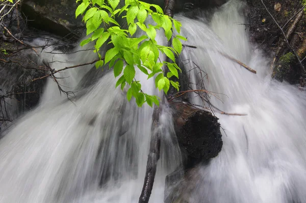 Uma Pequena Cachoeira Dentro Bushkill Cai Cidade Lehman Pensilvânia Dia — Fotografia de Stock