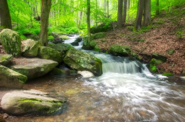 A series of cascades within Bushkill falls in Lehman township Pennsylvania on an overcast summer day. clipart