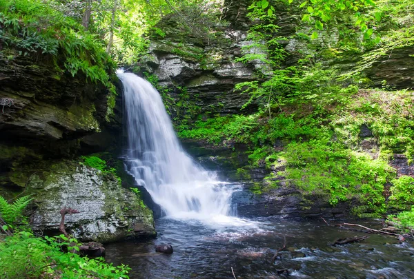 Uma Pequena Cachoeira Dentro Bushkill Cai Cidade Lehman Pensilvânia Dia — Fotografia de Stock
