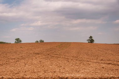 Pensilvanya 'da cinsel ilişki şehrinin kırsal kesiminde bulutlu bir yaz gününde. 