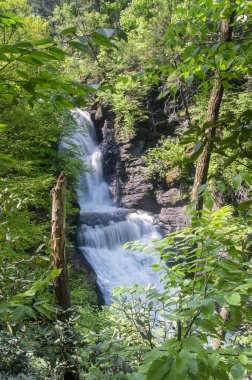 Doğu Pensilvanya 'da güneşli bir günde Dingmans Delaware su boşluğuna düştü..