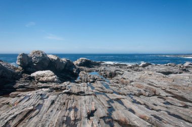 Bristol Maine 'deki Pemiquid Point' te güneşli bir yaz gününde Atlantik Okyanusu ve kayalık sahil.