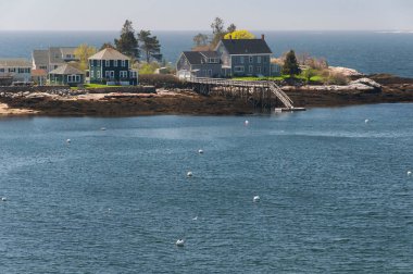 Yeni Liman, Bristol Maine 'deki bir körfezde, Pemaquid nehri kıyısındaki deniz kenarındaki evler..