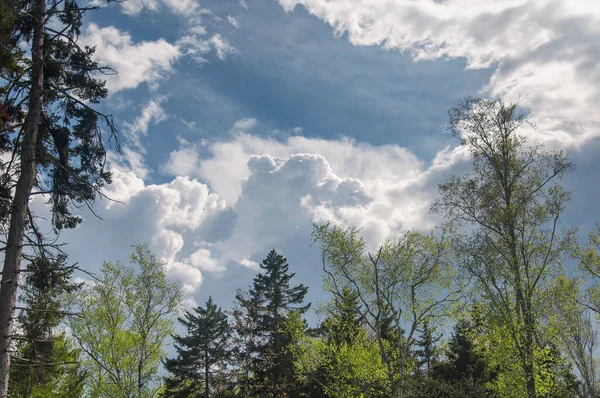 Okyanus noktası üzerinde dramatik bir bulut. Maine 'de doğa korunuyor.. 