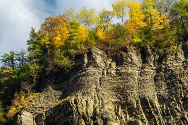 Taughannock 'taki dramatik uçurumlar Ithaca' da sonbaharda devlet parkına düştü.. 