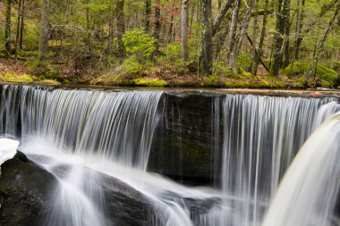 Bir kış günü Granby Connecticut 'taki Enders Eyalet Ormanı' nda bir şelale.