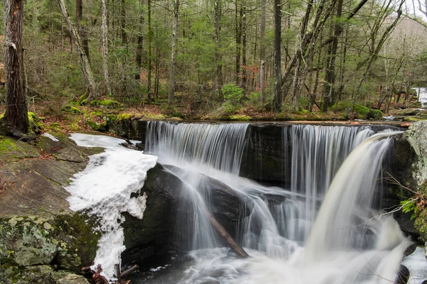Bir kış günü Granby Connecticut 'taki Enders Eyalet Ormanı' nda bir şelale.