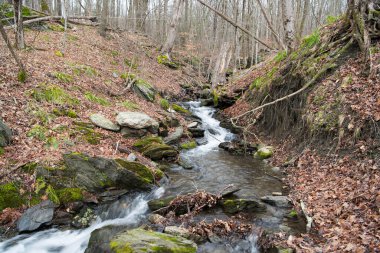 Millerton New York 'taki Rudd Pond Taconic Eyalet Parkı' nda akan küçük bir dere ve şelale..