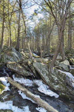 Güneşli bir kış gününde Plymouth Connecticut 'ta Buttermilk Falls ve Hancock Brook.