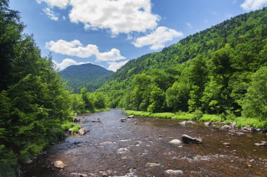 Agawamuck Deresi güneşli bir günde Hudson New York 'un Adirondack Dağları' nda akıyor..
