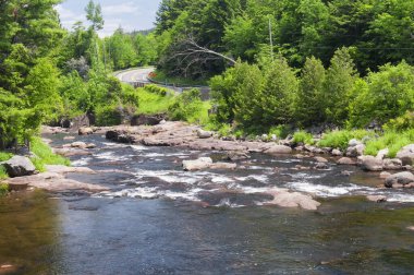 Agawamuck deresi güneşli bir günde Hudson New York 'ta bir yolun kenarında akıyor.. 