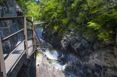 Güneşli bir yaz gününde Hudson New York 'taki Yüksek Şelale Koruma Alanında bir gökkuşağı.