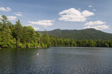 Güneşli bir günde Wilmington New York 'ta Copperas Pond yaz manzarası.