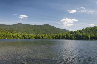 Güneşli bir günde Wilmington New York 'ta Copperas Pond yaz manzarası.