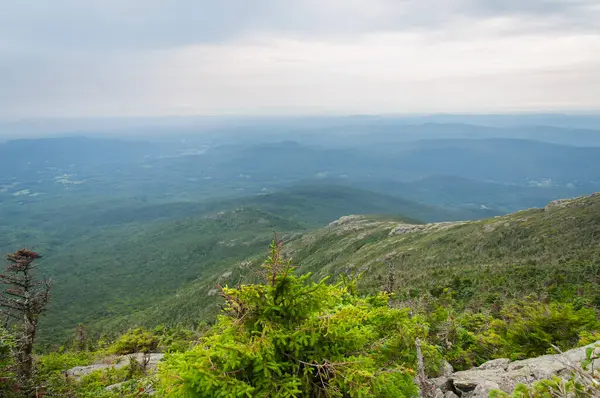 stock image The sunset ridge trail leading off of the summit of Mount Mansfield in Underhill Vermont.