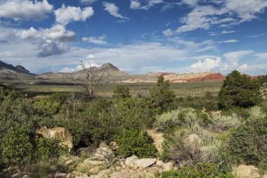 Las Vegas Nevada 'daki Kızıl Kaya Koruma Alanı içinde geniş bir alan..