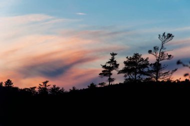 Nottingham, New Hampshire 'daki Pawtuckaway Gölü' nde ağaçların üzerinde batan güneş..