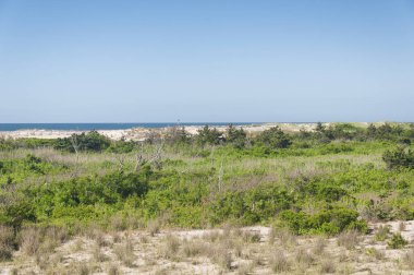 New York, Long Island 'daki Ateş Adası' nda güneşli bir günde ulusal sahil şeridi..