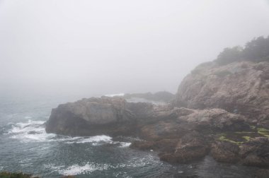 Jamestown Rhode Island 'daki Fort Wetherill Eyalet Parkı' ndaki sisli sahil.