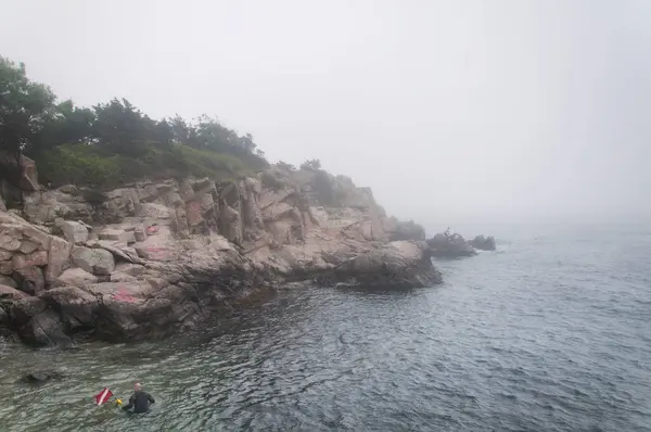 Jamestown Rhode Island 'daki Fort Wetherill Eyalet Parkı' ndaki sisli sahil.