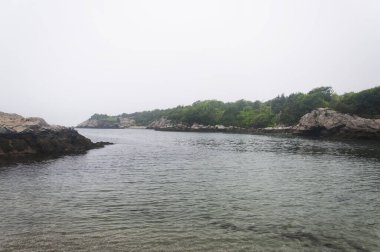 Jamestown Rhode Island 'daki Fort Wetherill Eyalet Parkı' ndaki sisli sahil.