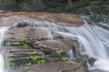 Spruce Creek, Haines Falls 'un kuzeyindeki Kaaterskill Şelalesi' ni besliyor..