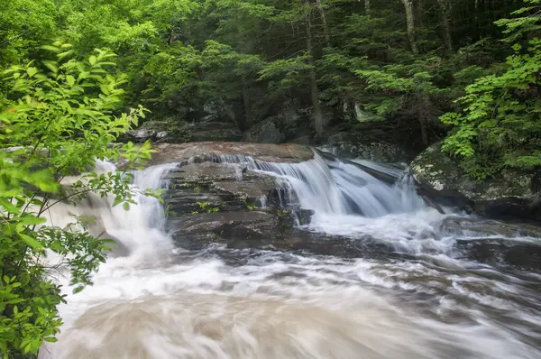 Spruce Creek, Haines Falls 'un kuzeyindeki Kaaterskill Şelalesi' ni besliyor.. 