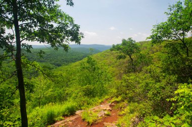 The macedonia ridge trail in Kent Connecticut on a summer day.  clipart