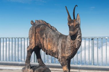 Bavyera 'da Garmisch Partenkirchen' de Zugspitze tepesinde oyulmuş bir dağ keçisi..