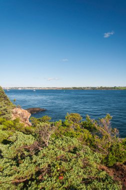 Güneşli bir günde Jamestown Rhode Island 'daki Fort Wetherill Eyalet Parkı' nda bitkiler yetişiyor..