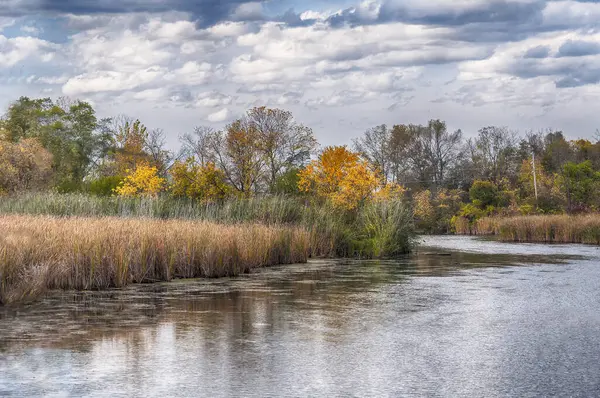 Catherine Creek ve Wetland bölgesi Montour Falls New York 'ta bir sonbahar günü. 