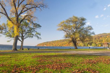 Seneca Gölü 'ndeki Clute Park Sonbaharda New York' un taşrasında öğleden sonra gün batımında.