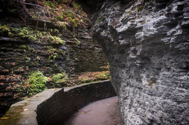 Sonbaharda New York 'ta, Watkins Glen Eyalet Parkı' ndaki vadiden geçen taş bir patika..