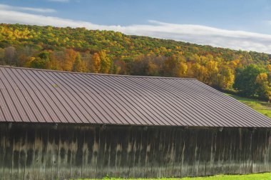 Litchfield County 'de sonbaharda renkli tepe ile birleştirilmiş yıpranmış ahşap bir ahır