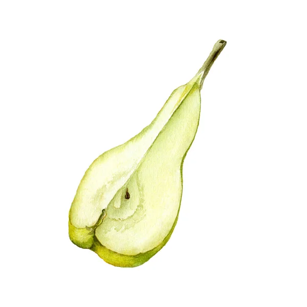 白地に手描きの水彩梨のコレクション 食品ラベルデザインのためのリアルな植物水彩イラストセット — ストック写真