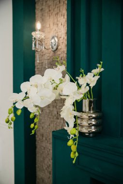 White orchid in the interior
