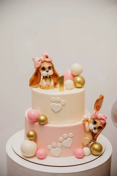 给孩子过生日的蛋糕 上面有狗的雕像 — 图库照片