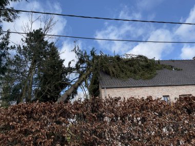 Yıkılmış ağaç ve çatıyı, gök gürültüsü etkisi