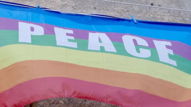 Ondeando Bandera Paz Del Arco Iris — Vídeo de stock