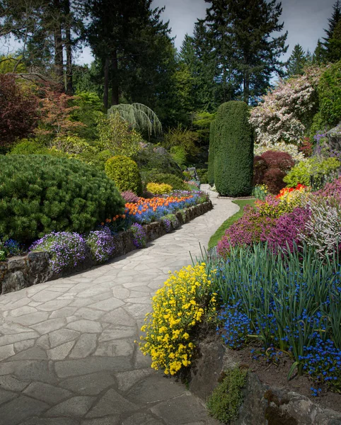 stock image Fresh Spring Blossoms in Butchart Gardens