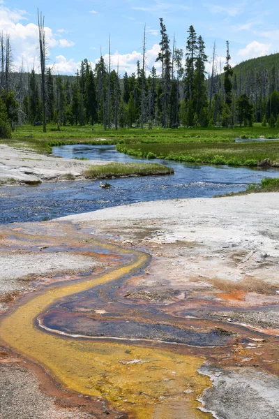 stock image Yellowstones Thermal Rivers of Yellow Bacteria