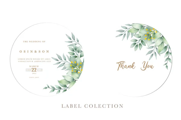 Ensemble Élégant Carte Invitation Mariage Eucalyptus — Image vectorielle