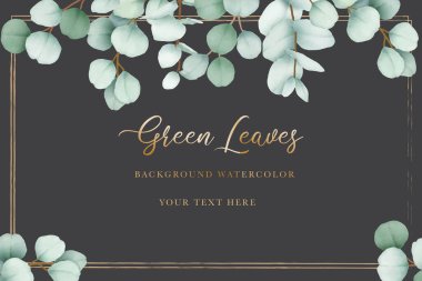 El çizimi okaliptüs suluboya ile zarif çiçek arkaplanı  