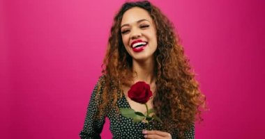 Güzel genç bir kadın tek bir kök gülle, Sevgililer Günü 'yle, pembe stüdyoyla flört ediyor. Yüksek kalite 4k görüntü